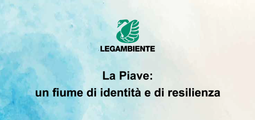 cover_piave
