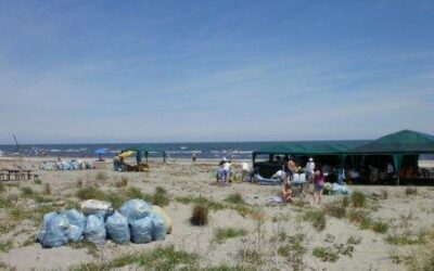 Spiagge e Fondali puliti 2011