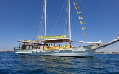 LE GOLETTE IN VENETO