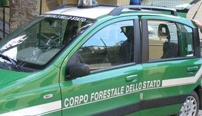 Soddisfazione di Legambiente e dell'Osservatorio ambiente e legalità per l'operazione del corpo forestale contro il traffico illecito dei rifiuti in Veneto.