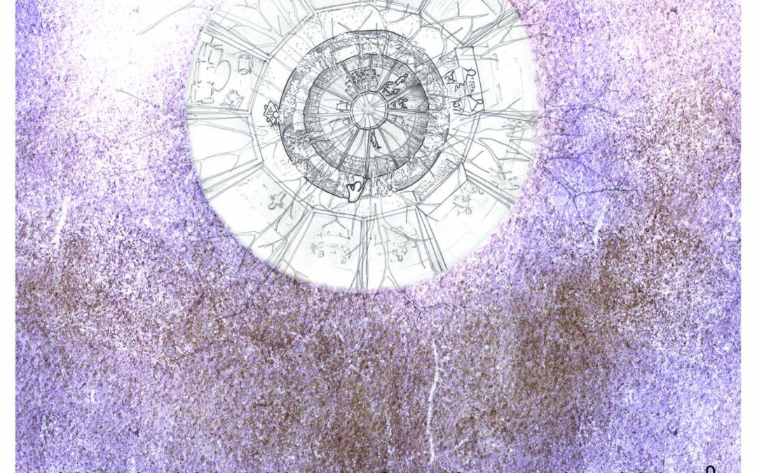 Stimoli Creativi – GIONA LA BALENA – Opificio di Architettura