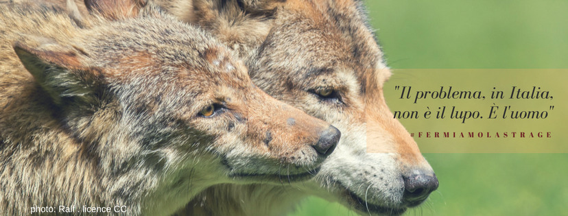 Ibridi: armi di distrazione di massa