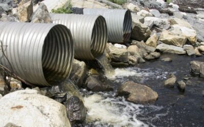 Indagini sull'inquinamento da Pfas, deludente la mancata applicazione delle legge sugli eco-reati