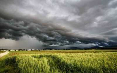 Maltempo in veneto, un'emergenza annunciata effetto del cambiamento climatico in atto: servono al più presto piani di adattamento