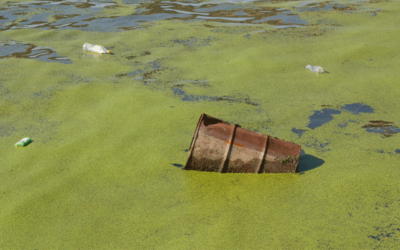 Centinaia i reati contro l'ambiente nella nostra regione, serve l’applicazione della legge sugli eco-reati