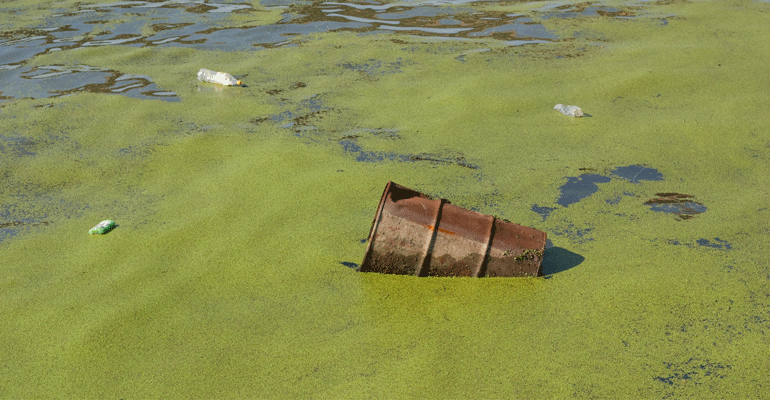 Centinaia i reati contro l'ambiente nella nostra regione, serve l’applicazione della legge sugli eco-reati