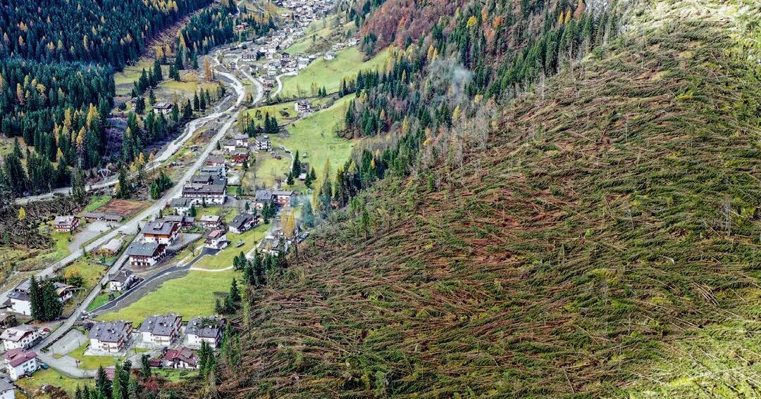 Dopo la tempesta Vaia, Legambiente lancia il campo #VolontarixFeltre per aiutare i territori colpiti