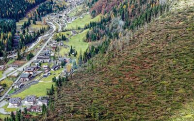 Dopo la tempesta Vaia, Legambiente lancia il campo #VolontarixFeltre per aiutare i territori colpiti