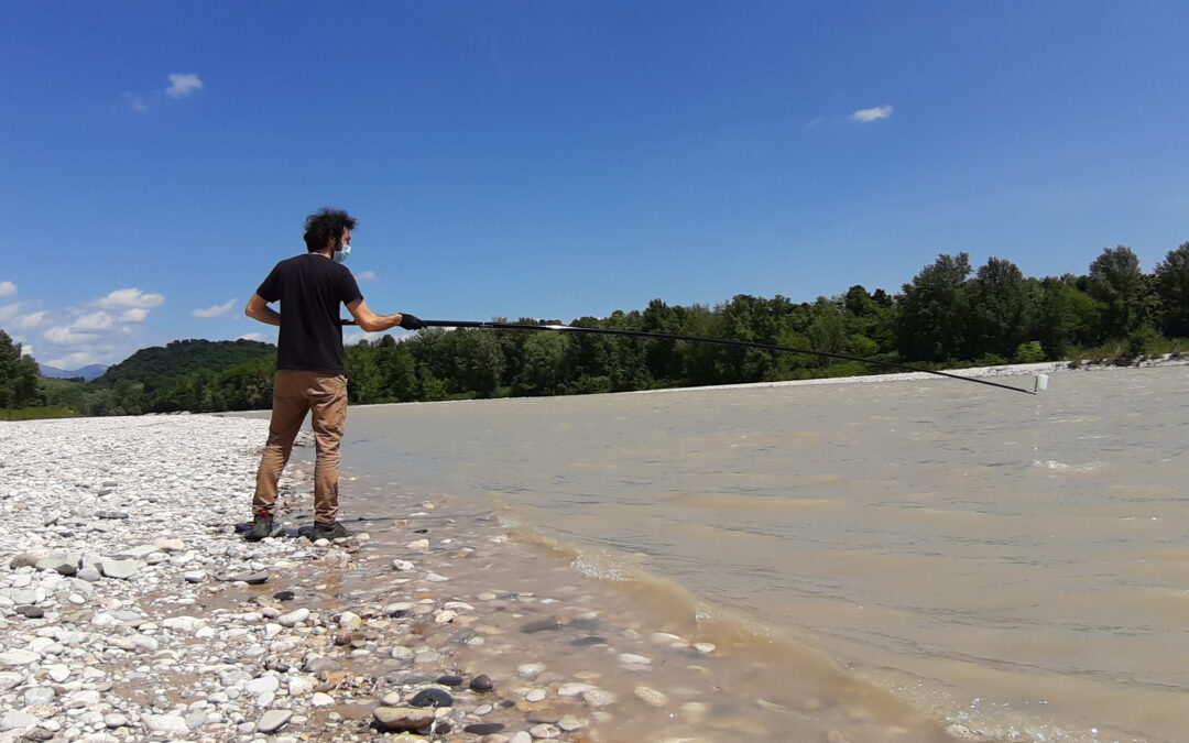 Brenta osservato speciale dalle analisi risulta in salute, depurazione da migliorare Parametri negativi per i canali Brentella e Piovego