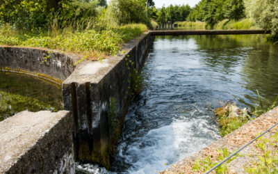 Bacchiglione osservato speciale salute scarsa con valori molto alti di escherichia coli  che nel Retrone superano i limiti di legge Molte le criticità già riscontrate in passato