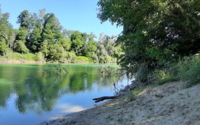 Piave osservato speciale in salute ma aggredito da cave e impianti idroelettrici  Segnali di allarme per la qualità ecologica a causa del consumo di suolo urbano e agricolo e di una non eccellente depurazione