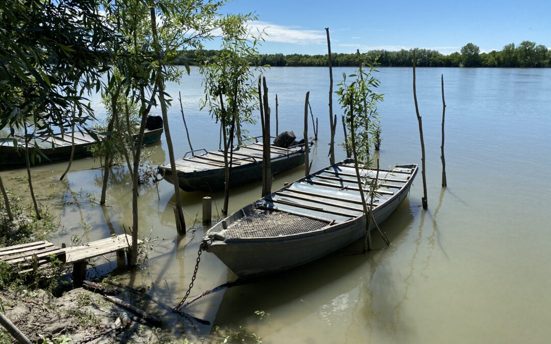 Operazione Fiumi – “Esplorare per Custodire” arriva sul Po