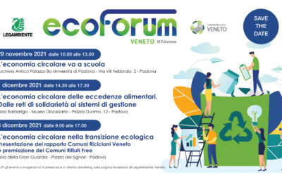 L’economia circolare delle eccedenze alimentari  dalle reti di solidarietà ai sistemi di gestione