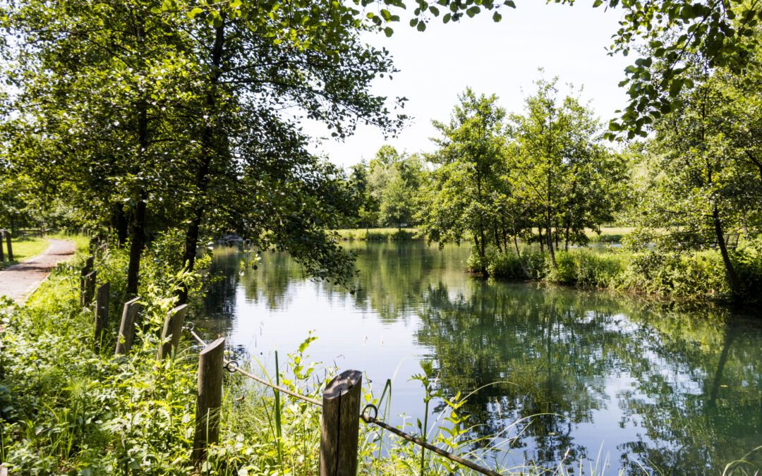 Al via la seconda edizione di “Operazione Fiumi – Esplorare per Custodire”  la campagna itinerante di Legambiente Veneto per monitorare e tutelare i nostri fiumi con la collaborazione di ARPAV
