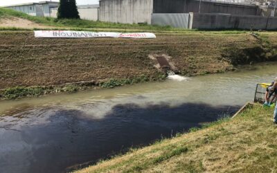 Legambiente: “Il Fratta Gorzone è un fiume dimenticato. Smettetela di nascondere la polvere sotto il tappeto”