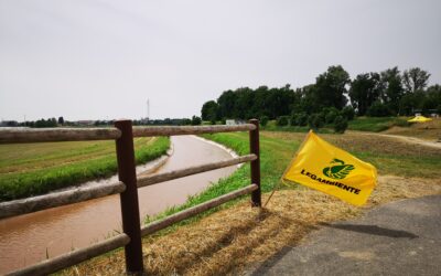 Il fiume Adige osservato speciale: Il fiume Adige osservato speciale: dalle analisi risulta senza particolare problemi e nel complesso in buono stato