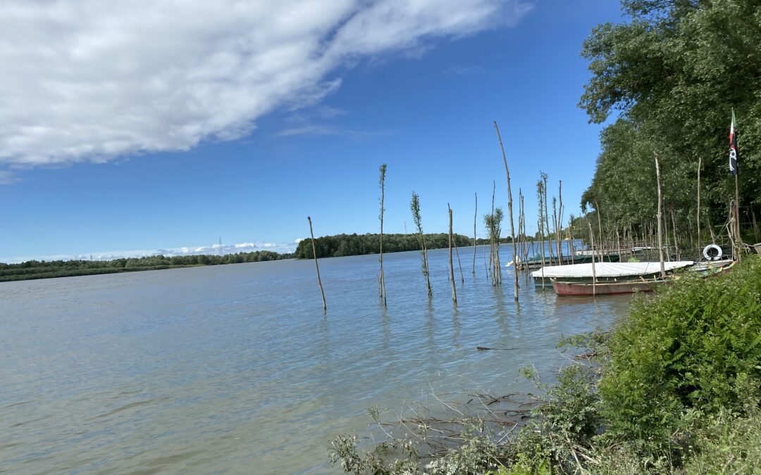 Operazione Fiumi – “Esplorare per Custodire” arriva sul Po Inquinanti chimici, degrado ambientale e siccità evidenziano i rischi  del riscaldamento globale