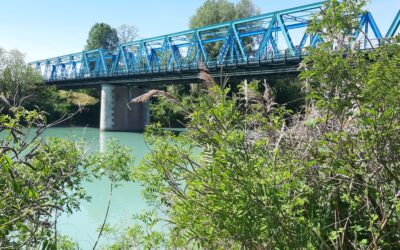 Sile sotto pressione. Preoccupano illegalità, siccità e depurazione