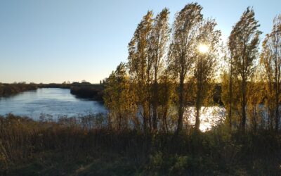 Legambiente: Livenza nei limiti ma sotto pressione