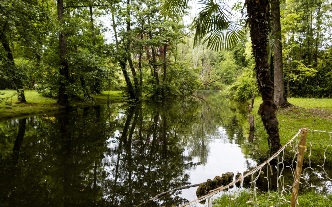 Sile ancora fuori forma ma qualcosa sta cambiando