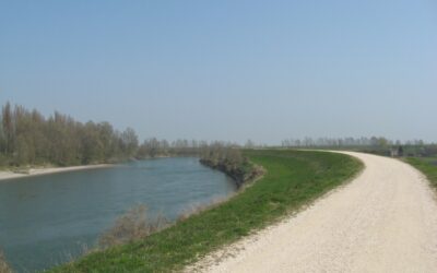 Adige ancora inquinato da batteri fecali. Per il Fratta Gorzone nulla ancora è stato fatto