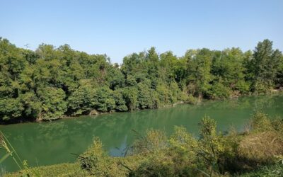 Il fiume Brenta gode di buona salute, bene la depurazione delle acque