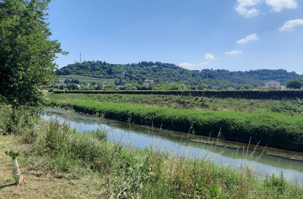 Allarme per i fiumi Bacchiglione e Retrone inquinati da batteri fecali