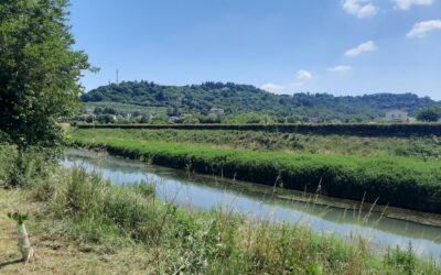 Allarme per i fiumi Bacchiglione e Retrone inquinati da batteri fecali