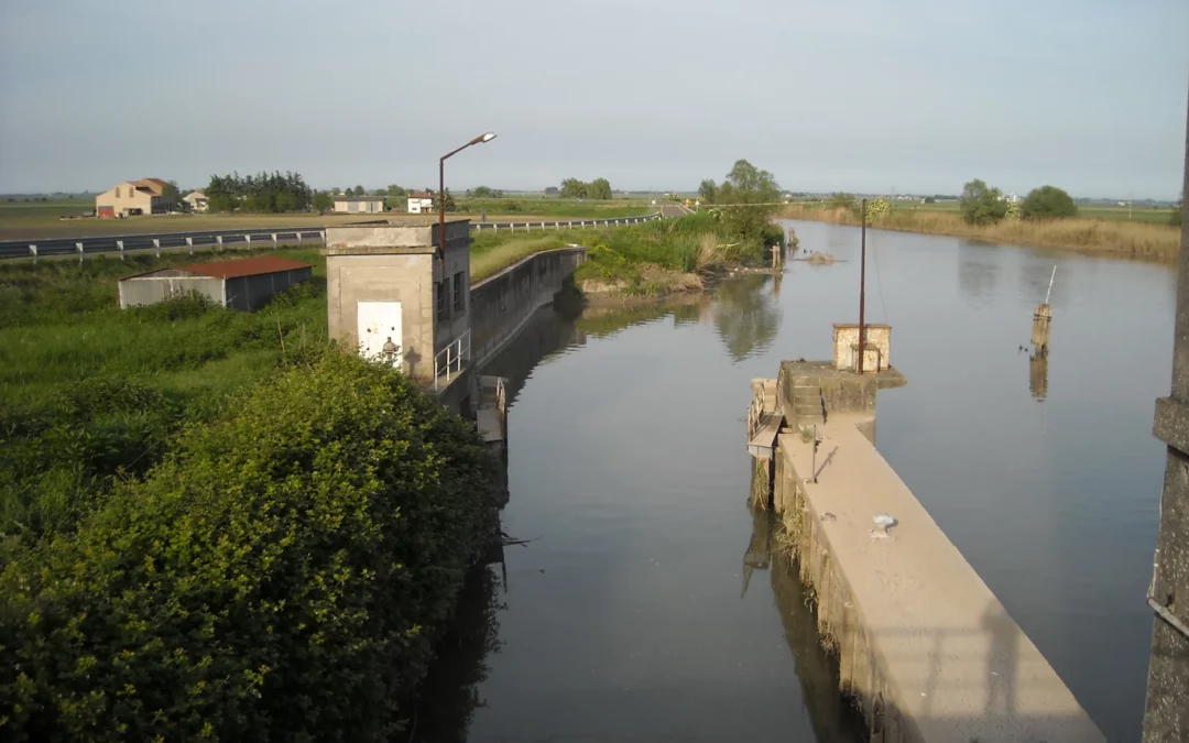Oggi a Chioggia convegno per parlare di connessioni tra fiumi e mare