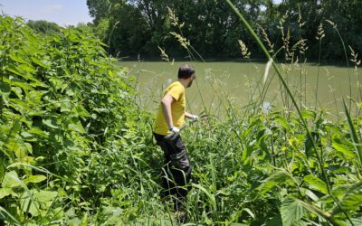 Allarme a Vicenza per i fiumi Bacchiglione e Retrone inquinati da batteri fecali