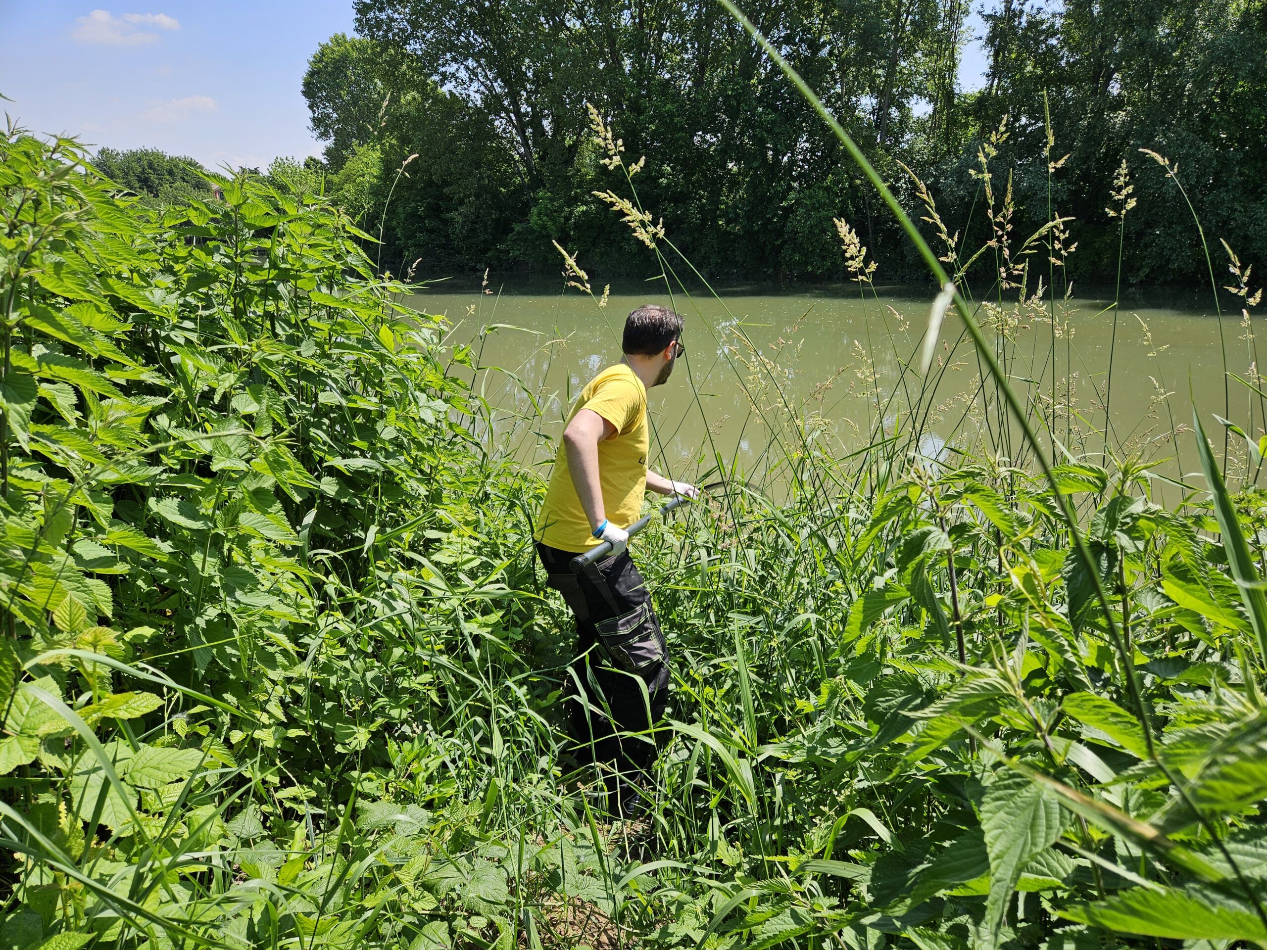 Allarme a Vicenza per i fiumi Bacchiglione e Retrone inquinati da batteri fecali
