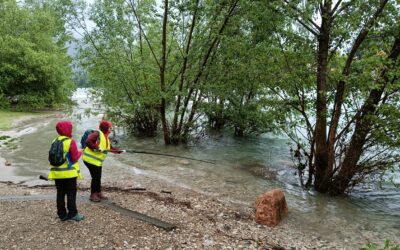 Operazione Fiumi – Esplorare per custodire 2024: Brenta in salute, buona la depurazione