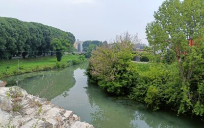 Tra depurazione ed erbicidi a Padova un Bacchiglione in sofferenza