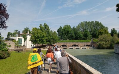 La depurazione del Sile ancora critica: superamenti diffusi per i batteri fecali