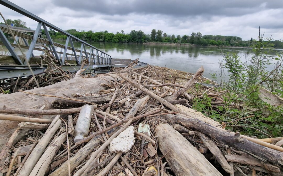 Fiume Po: depurazione in Veneto funziona, ma chimica preoccupante e rifiuti da non sottovalutare
