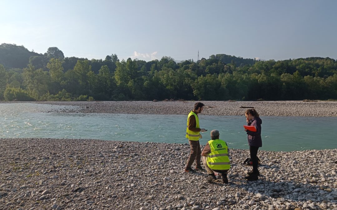 Non preoccupa la depurazione del Piave. Legambiente: continuare a investire per la resilienza del fiume