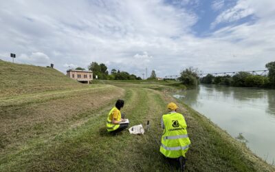 Livenza ancora in sofferenza: preoccupano depurazione e i PFAS