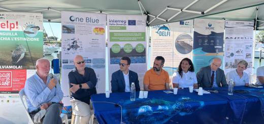 Goletta Verde sbarca in Veneto dal 9 al 10 agosto:  approdo ad Albarella (Rovigo) e Caorle (Venezia)