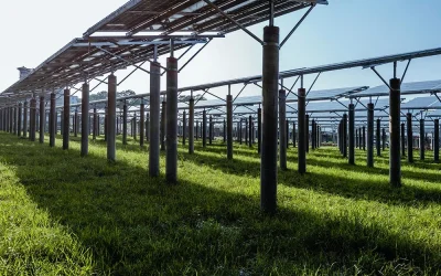 Lo sviluppo dell’agrivoltaico è un’opportunità, non un rischio