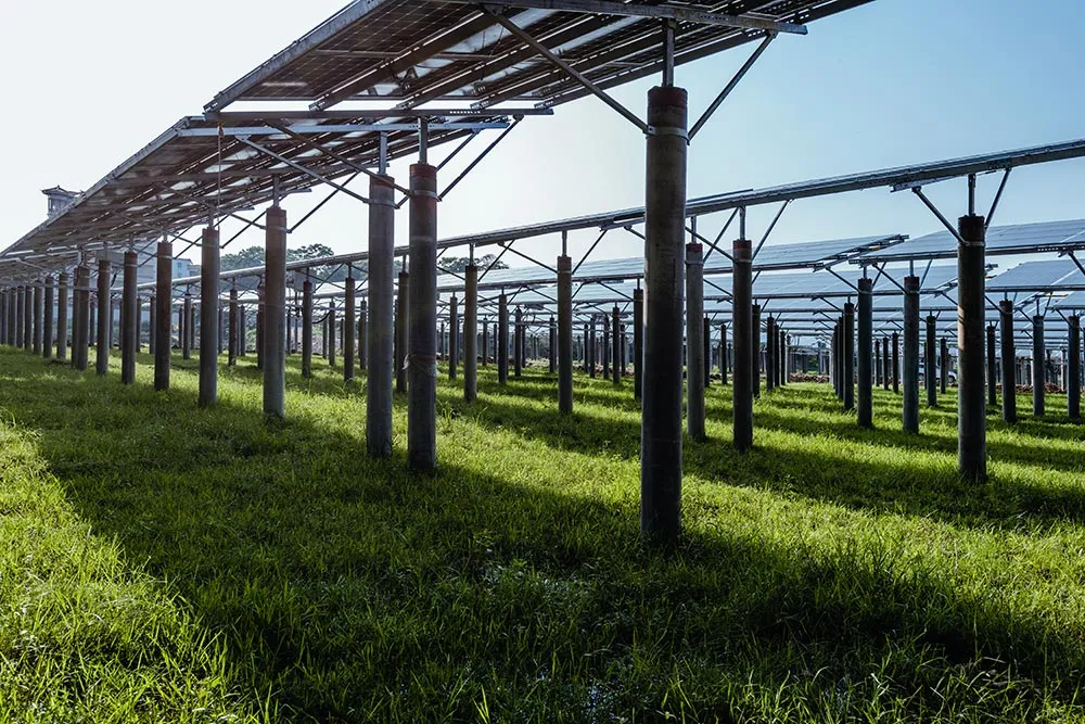 Lo sviluppo dell’agrivoltaico è un’opportunità, non un rischio
