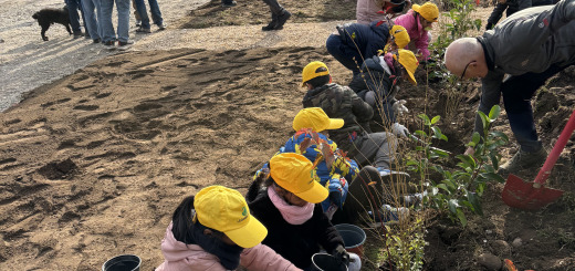 Festa dell’albero 2024