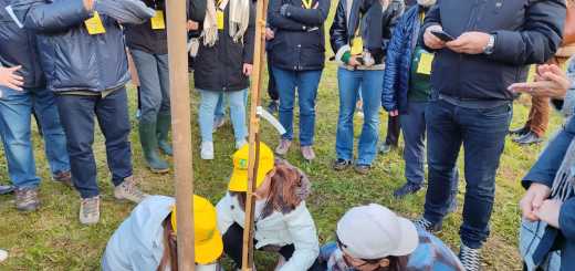 29esima edizione Festa dell’Albero 2024 a Spinea