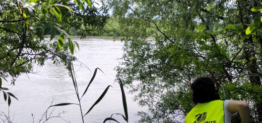 Depurazione e affluenti da attenzionare: un parco fluviale per la rinaturalizzazione del medio corso dell’Adige