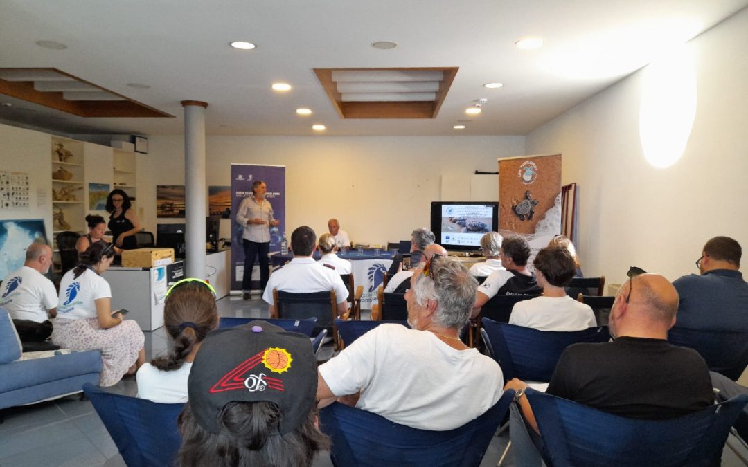 Biodiversità a rischio: quattro tartarughe ritrovate morte a Bibione