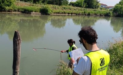 Sile: non preoccupa la depurazione, resta l’allerta pesticidi e pfas