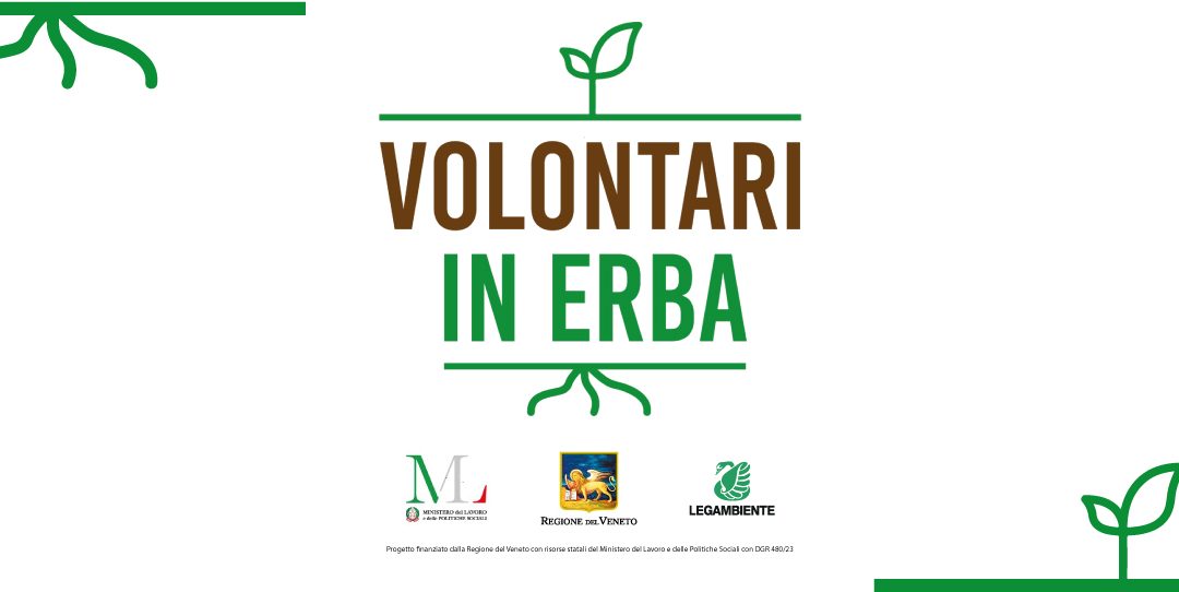 Volontari in erba per la transizione ecologica intergenerazionale