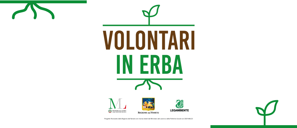 Volontari in erba per la transizione ecologica intergenerazionale