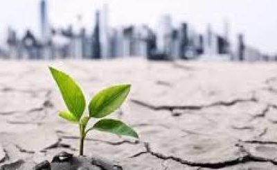 Legambiente, Italia Nostra, Wwf si mobilitano per salvare il suolo del Veneto