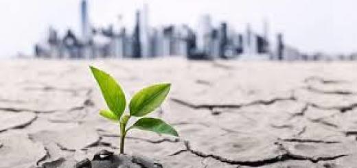 Legambiente, Italia Nostra, Wwf si mobilitano per salvare il suolo del Veneto