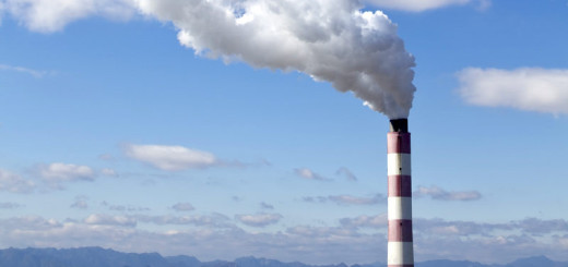 Incenerimento dei fanghi a Loreo: Legambiente contesta la scelta